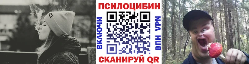 Псилоцибиновые грибы мицелий  нарко площадка какой сайт  Юрьев-Польский  как найти закладки  гидра  