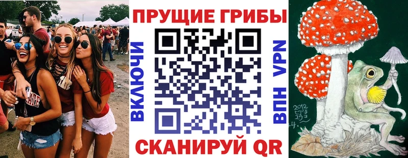 Псилоцибиновые грибы прущие грибы Юрьев-Польский